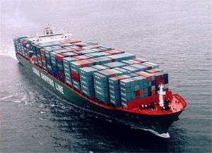 專業(yè)護(hù)航全球貿(mào)易 —— 上海馨圓實(shí)業(yè)進(jìn)出口代理全解析